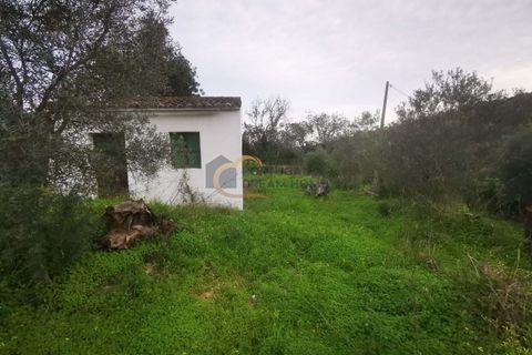 Villa i Tavira, Faro, Tavira - € 185.000 | Ref: HC116 - foto 9