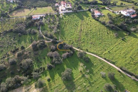 Helårsgrund i Albufeira, Faro, Albufeira - € 340.000 | Ref: AF121 - foto 10
