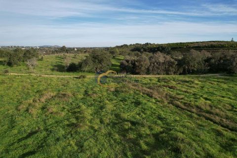 Helårsgrund i Albufeira, Faro, Albufeira - € 340.000 | Ref: AF121 - foto 11