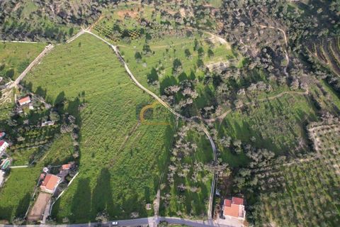 Helårsgrund i Albufeira, Faro, Albufeira - € 340.000 | Ref: AF121 - foto 13