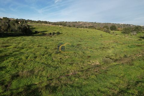 Helårsgrund i Albufeira, Faro, Albufeira - € 340.000 | Ref: AF121 - foto 15