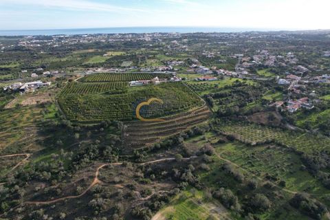 Helårsgrund i Albufeira, Faro, Albufeira - € 340.000 | Ref: AF121 - foto 17
