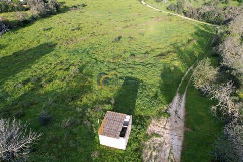Helårsgrund i Albufeira, Faro, Albufeira - € 340.000 | Ref: AF121 - foto 19