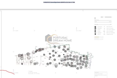 Helårsgrund i Almancil, Faro, Almancil - € 525.000 | Ref: AF130 - foto 12