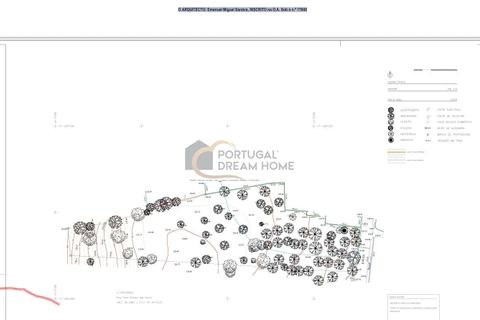 Helårsgrund i Almancil, Faro, Almancil - € 525.000 | Ref: AF130 - foto 19