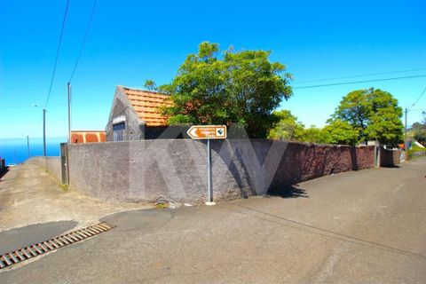 Byhus i Calheta, Madeira, Calheta - € 1.250.000 | Ref: 1212-6564 - foto 1