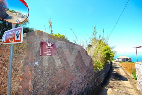Byhus i Calheta, Madeira, Calheta - € 1.250.000 | Ref: 1212-6564 - foto 3