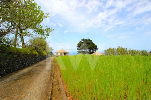 Byhus i Calheta, Madeira, Calheta - € 1.250.000 | Ref: 1212-6564 - foto 4
