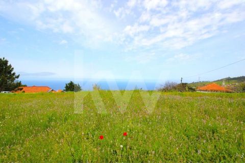 Byhus i Calheta, Madeira, Calheta - € 1.250.000 | Ref: 1212-6564 - foto 6