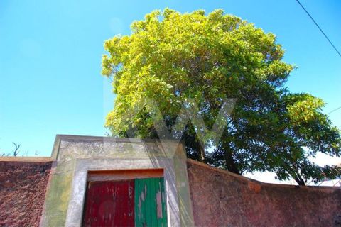 Byhus i Calheta, Madeira, Calheta - € 1.250.000 | Ref: 1212-6564 - foto 8