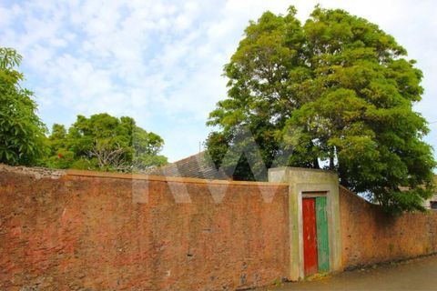 Byhus i Calheta, Madeira, Calheta - € 1.250.000 | Ref: 1212-6564 - foto 9
