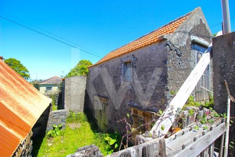 Byhus i Calheta, Madeira, Calheta - € 1.250.000 | Ref: 1212-6564 - foto 12