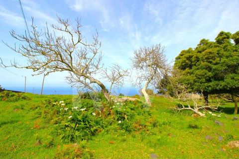 Byhus i Calheta, Madeira, Calheta - € 1.250.000 | Ref: 1212-6564 - foto 20