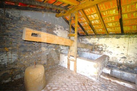 Byhus i Calheta, Madeira, Calheta - € 1.250.000 | Ref: 1212-6564 - foto 21