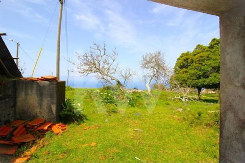 Byhus i Calheta, Madeira, Calheta - € 1.250.000 | Ref: 1212-6564 - foto 24