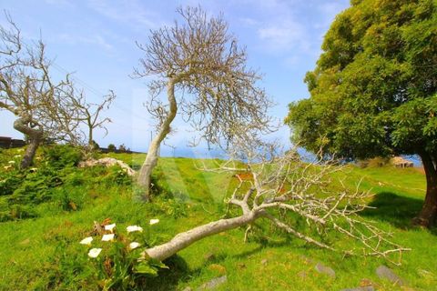 Byhus i Calheta, Madeira, Calheta - € 1.250.000 | Ref: 1212-6564 - foto 25