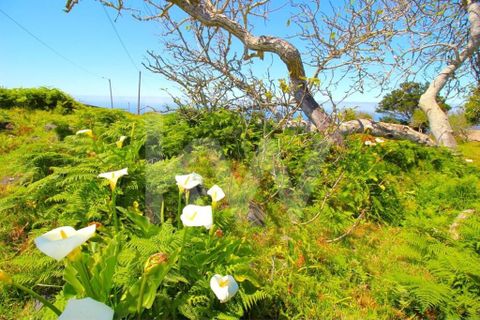 Byhus i Calheta, Madeira, Calheta - € 1.250.000 | Ref: 1212-6564 - foto 26