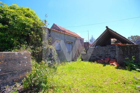 Byhus i Calheta, Madeira, Calheta - € 1.250.000 | Ref: 1212-6564 - foto 27