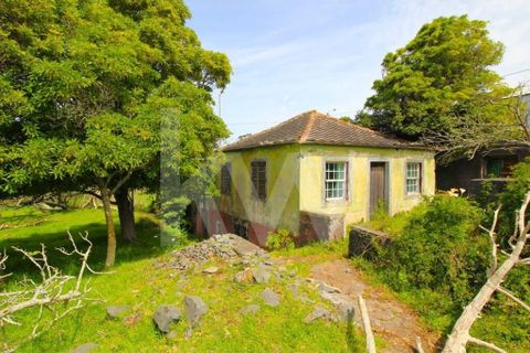 Byhus i Calheta, Madeira, Calheta - € 1.250.000 | Ref: 1212-6564 - foto 28