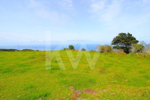 Byhus i Calheta, Madeira, Calheta - € 1.250.000 | Ref: 1212-6564 - foto 29