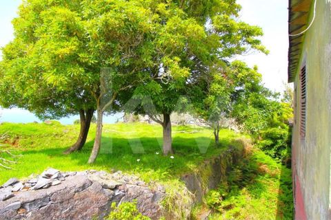 Byhus i Calheta, Madeira, Calheta - € 1.250.000 | Ref: 1212-6564 - foto 30