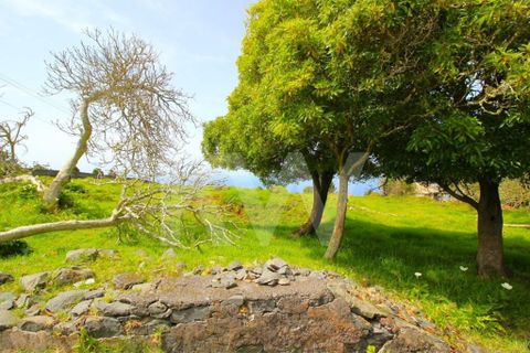Byhus i Calheta, Madeira, Calheta - € 1.250.000 | Ref: 1212-6564 - foto 31
