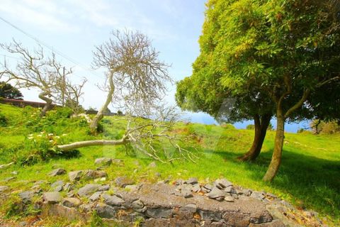 Byhus i Calheta, Madeira, Calheta - € 1.250.000 | Ref: 1212-6564 - foto 32