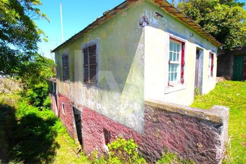 Byhus i Calheta, Madeira, Calheta - € 1.250.000 | Ref: 1212-6564 - foto 33
