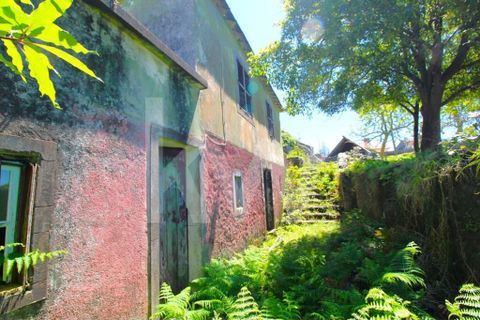 Byhus i Calheta, Madeira, Calheta - € 1.250.000 | Ref: 1212-6564 - foto 34