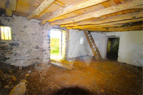 Byhus i Calheta, Madeira, Calheta - € 1.250.000 | Ref: 1212-6564 - foto 35