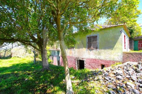 Byhus i Calheta, Madeira, Calheta - € 1.250.000 | Ref: 1212-6564 - foto 41