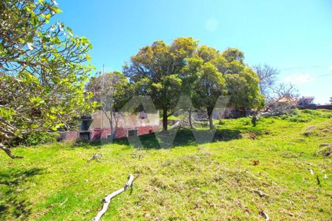Byhus i Calheta, Madeira, Calheta - € 1.250.000 | Ref: 1212-6564 - foto 42
