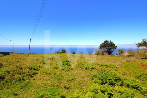 Byhus i Calheta, Madeira, Calheta - € 1.250.000 | Ref: 1212-6564 - foto 43