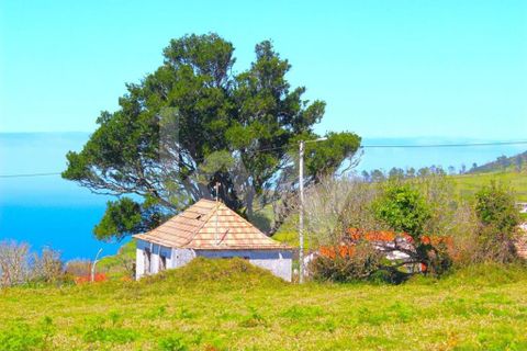 Byhus i Calheta, Madeira, Calheta - € 1.250.000 | Ref: 1212-6564 - foto 45