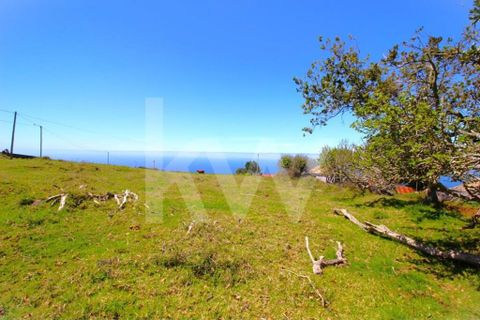 Byhus i Calheta, Madeira, Calheta - € 1.250.000 | Ref: 1212-6564 - foto 46
