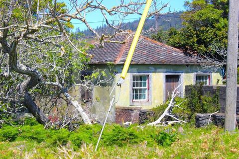 Byhus i Calheta, Madeira, Calheta - € 1.250.000 | Ref: 1212-6564 - foto 47
