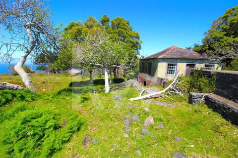 Byhus i Calheta, Madeira, Calheta - € 1.250.000 | Ref: 1212-6564 - foto 48