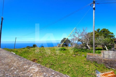 Byhus i Calheta, Madeira, Calheta - € 1.250.000 | Ref: 1212-6564 - foto 49
