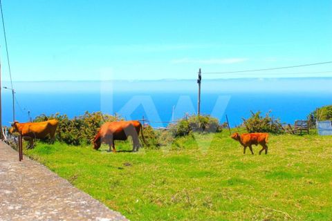 Byhus i Calheta, Madeira, Calheta - € 1.250.000 | Ref: 1212-6564 - foto 50