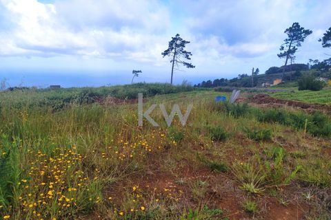 Helårsgrund i Calheta, Madeira, Calheta - € 25.000 | Ref: KWPT-003683 - foto 1