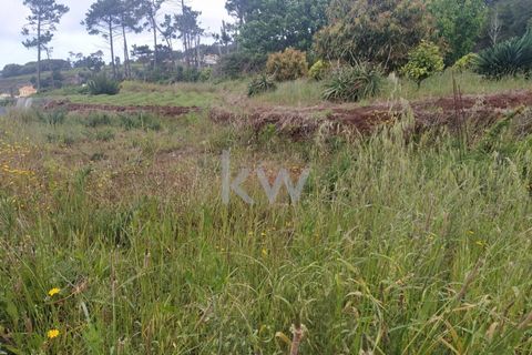 Helårsgrund i Calheta, Madeira, Calheta - € 25.000 | Ref: KWPT-003683 - foto 5