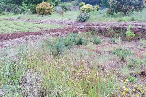 Helårsgrund i Calheta, Madeira, Calheta - € 25.000 | Ref: KWPT-003683 - foto 6