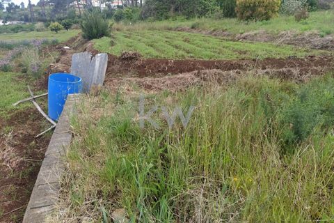 Helårsgrund i Calheta, Madeira, Calheta - € 25.000 | Ref: KWPT-003683 - foto 7