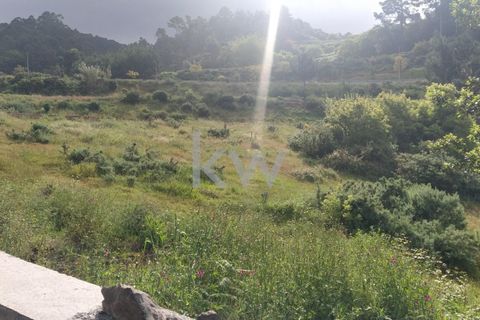 Helårsgrund i Calheta, Madeira, Calheta - € 25.000 | Ref: KWPT-003683 - foto 8