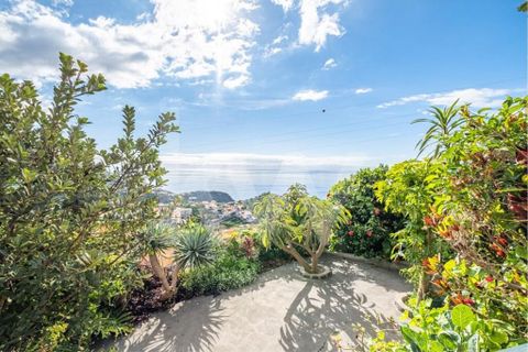 Byhus i Ribeira Brava, Madeira, Ribeira Brava - € 390.000 | Ref: 1212-5655 - foto 16