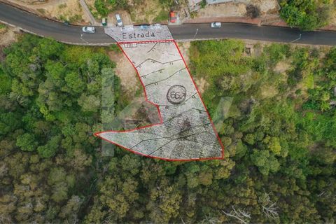 Helårsgrund i Machico, Madeira, Machico - € 60.000 | Ref: 1212-6600 - foto 1