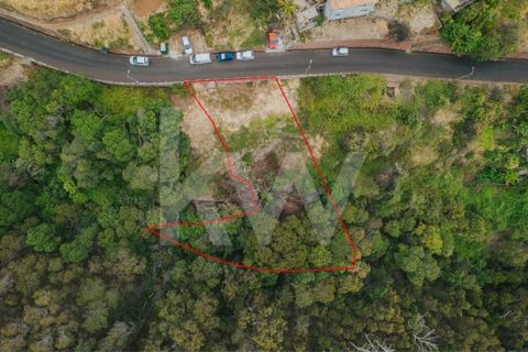Helårsgrund i Machico, Madeira, Machico - € 60.000 | Ref: 1212-6600 - foto 3