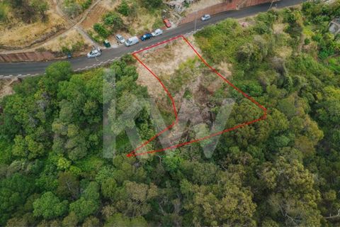 Helårsgrund i Machico, Madeira, Machico - € 60.000 | Ref: 1212-6600 - foto 5