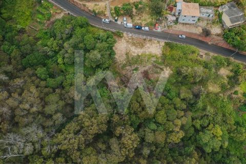 Helårsgrund i Machico, Madeira, Machico - € 60.000 | Ref: 1212-6600 - foto 6