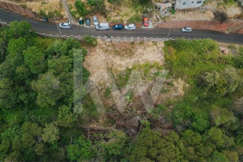 Helårsgrund i Machico, Madeira, Machico - € 60.000 | Ref: 1212-6600 - foto 7